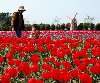 フォトコンクール：陽春の花園