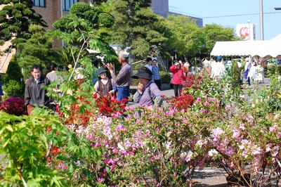 匝瑳市植木まつり 匝瑳市公式ホームページ