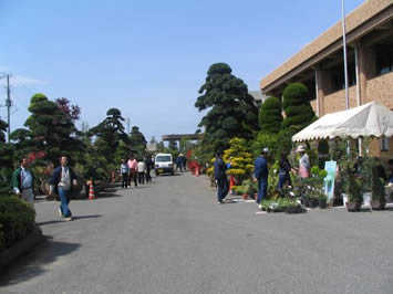 匝瑳市植木まつり 匝瑳市公式ホームページ