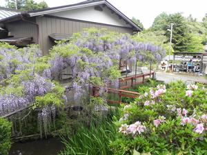 サンプル画像