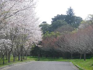 サンプル画像1