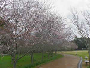 サンプル画像2