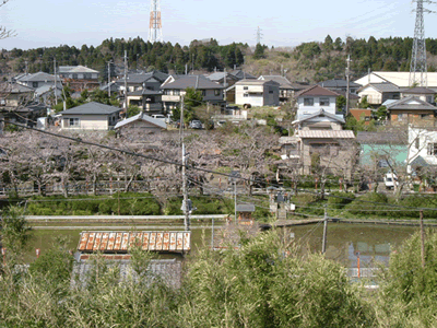 西側の風景の画像