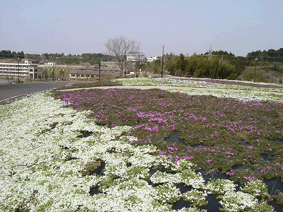 その他の風景03