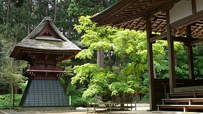 新緑の飯高寺の画像