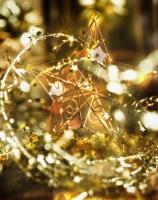 クリスマスカップリング大作戦12 平成24年12月22日 終了 匝瑳市公式ホームページ