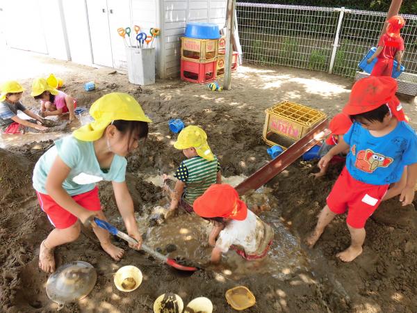八日市場幼稚園 園庭解放(泥遊び)