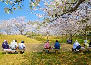 憩いの公園