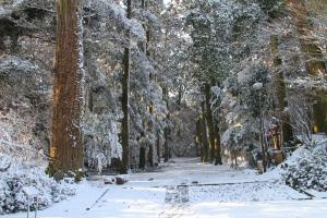 雪の参道