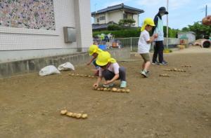 R4八幼　年長じゃがいも堀り3