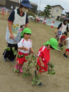 芋づるで遊んだよ7