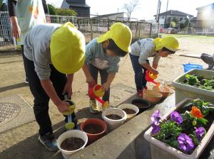 八幼　球根植え3