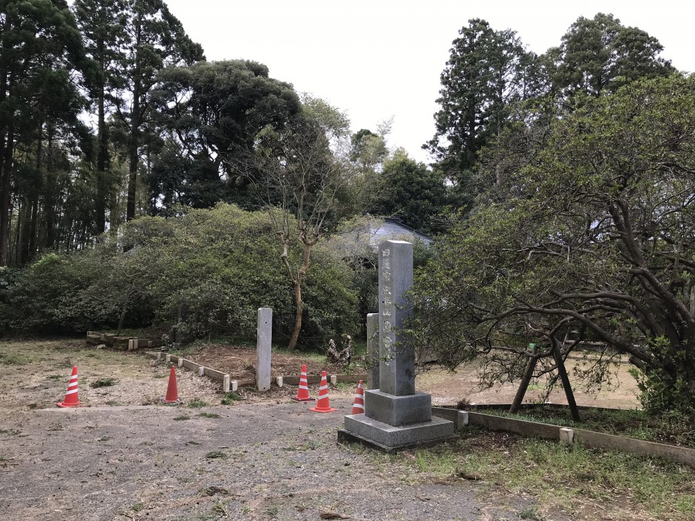 令和2年 圓實寺の大つつじ開花情報-4.16　つつじ1