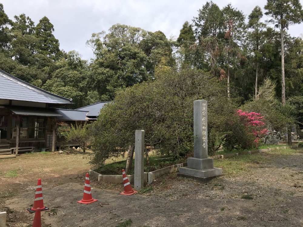 令和2年 圓實寺の大つつじ開花情報-4.16　つつじ2