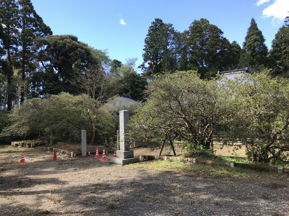 令和2年 圓實寺の大つつじ開花情報-4.19　つつじ1