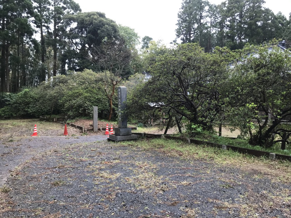 令和2年 圓實寺の大つつじ開花情報-4.20　つつじ1