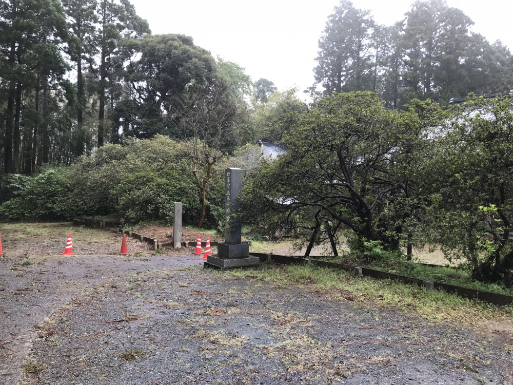 令和2年 圓實寺の大つつじ開花情報-4.21　つつじ1