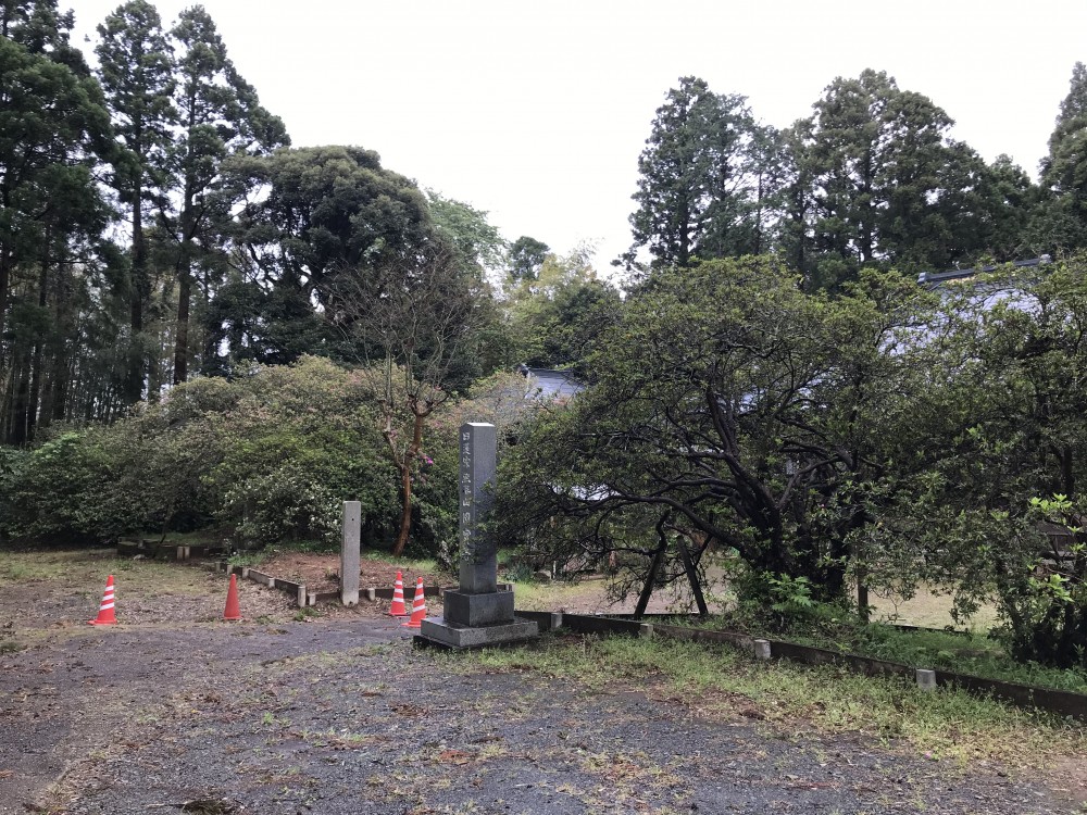 令和2年 圓實寺の大つつじ開花情報-4.23　つつじ1