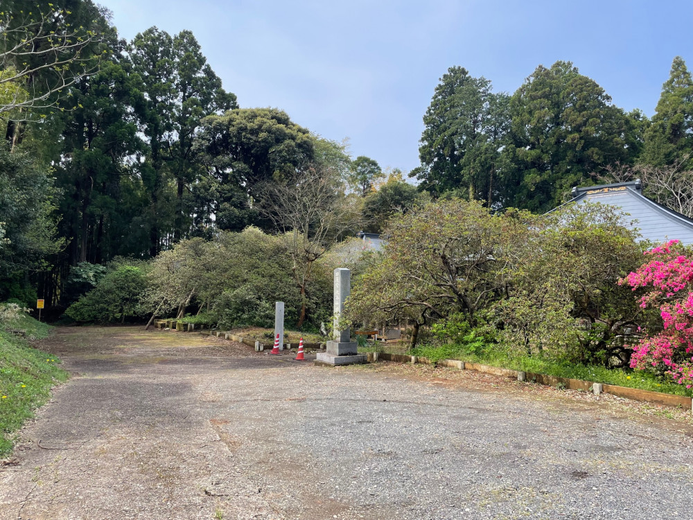 令和4年度 圓實寺の大ツツジ開花状況-1