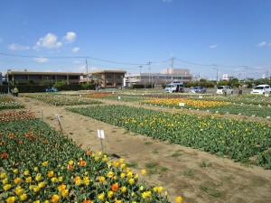 4月2日（火曜日）の写真