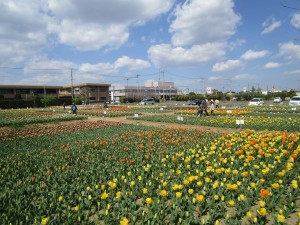 4月3日（水曜日）の写真