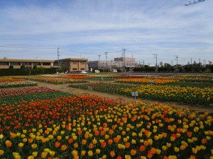 4月5日（金曜日）の写真