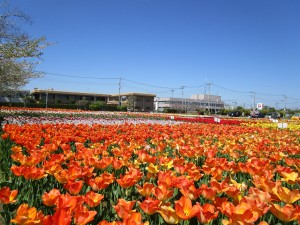 ４月16日（火曜日）の写真