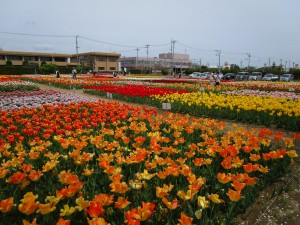 4月17日（水曜日）の写真