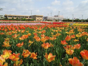 4月19日（金曜日）最終の写真