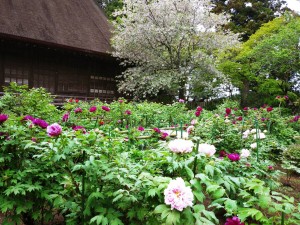 4月24日（水曜日）の写真