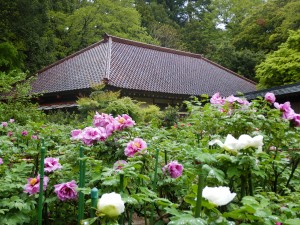 4月30日（火曜日）の写真