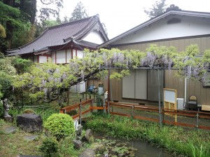 5月1日(水曜日)の写真