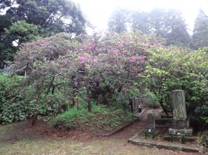 5月1日(水曜日)の写真