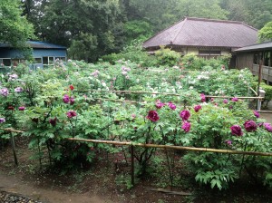 5月1日(水曜日)の写真