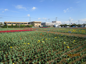 3月23日（火曜日）の写真