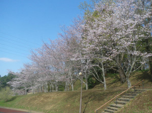 3月24日（水曜日）の写真