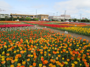 3月29日（月曜日）の写真