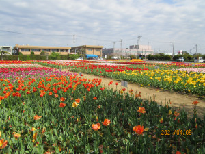 4月9日（金曜日）の写真