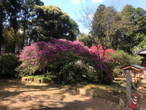 4月23日（金曜日）の写真