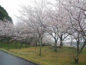 4月4日（月曜日）の写真