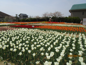 4月13日（水曜日）の写真