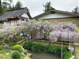 4月24日（日曜日）の写真