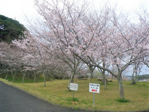 3月23日（木曜日）の写真