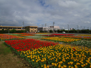 3月29日（水曜日）の写真