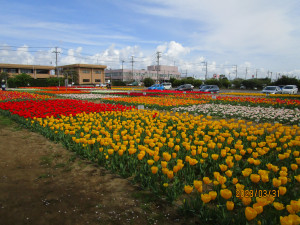 3月31日（金曜日）の写真