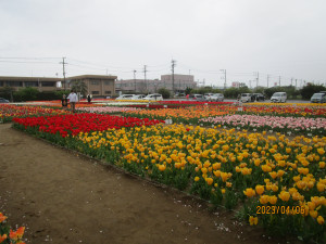 4月6日（木曜日）の写真