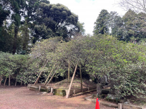 4月12日（水曜日）の写真