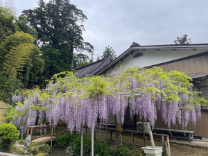 4月22日（土曜日）の写真