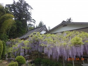 4月24日（月曜日）の写真