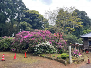 4月26日（水曜日）の写真